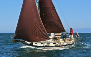 Aurelia sailboat
